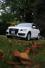  2009 Audi Q5 